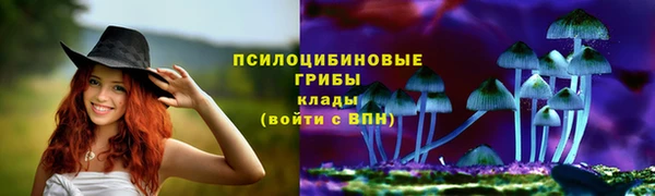 кокс Абаза