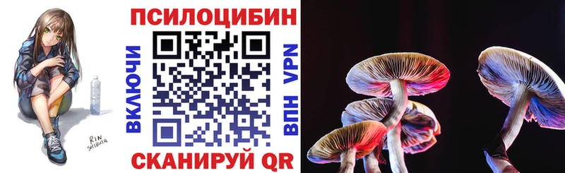 цена Нерчинск Псилоцибиновые грибы мицелий